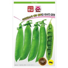 아시아종묘 콩씨앗종자 준(50g), 1개