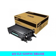 팀일렉트로닉스