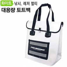 ibassodx300필름