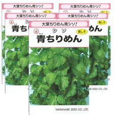 타오바오나스