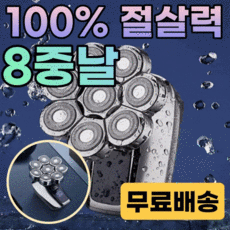 브라운면도기8날