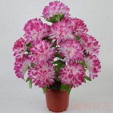 a04a636bba1b3bc5ca515db3c7b2712301d72ef0239fac79207e316184f2.jpg