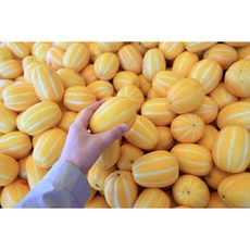 산지직송 성주참외 꿀참외 랜덤과 1kg, 1박스, 성주 참외 랜덤과 4.5kg