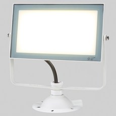 비츠온 LED 투광기 30W, 화이트-전구색(노란빛), 1개