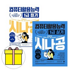 시나공컴퓨터활용능력1급필기