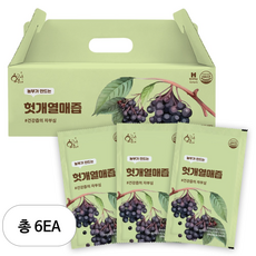 황금이네 헛개즙 100ml, 3L, 6개