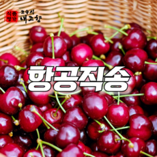미국 캘리포니아 항공직송 생 체리 과일 1kg 2kg, 체리 10R x 1kg