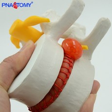 2017의료기기업체주소록