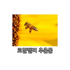 젤리스킨