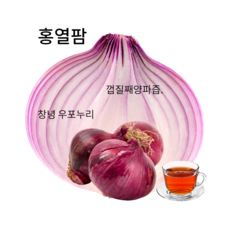 암환자영양식책