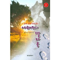 일제강점기소설