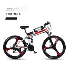 서울전기자전거대여