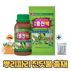 대유총진싹