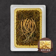대한민국 한입 산양삼 장뇌삼 5-6년근 10g, 1개