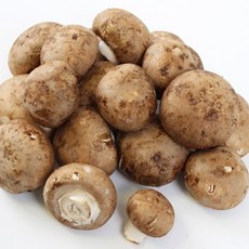 [하늘뜰] 산지직송 보령 못난이 포타벨라 버섯 2kg, 1개