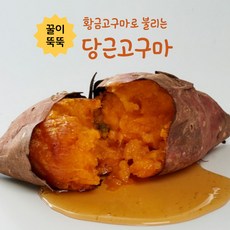 탐나는것들 꿀이 뚝뚝 황토밭 햇 황금고구마 당근고구마 산지직송, 1박스, 특상 1kg