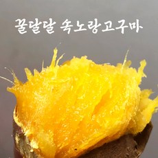 강화도 속노랑고구마 1%꿀품 꿀달달 끝판왕, 1개, 5kg (특상)