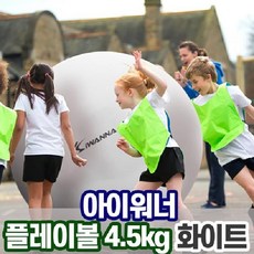 V 아이워너 플레이볼 4.5kg 화이트 학교 체육 놀이