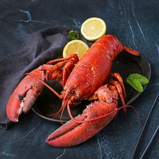 신선 캐나다산 활랍스터 500g (냉장), ONE COLOR, ONE SIZE