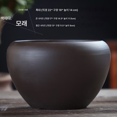 동전초 수배화분 자색 모래무공 수선화 수련볼 연일엽연 수양식물 대구경, 색깔3, 중간, 1개