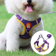 데일리퍼블릭 중소형견 애견 강아지 하네스 리드줄 포함, 퍼플
