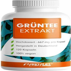ProFuel 독일 녹차 카테친 60캡슐, 1개, 60정