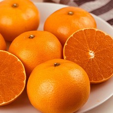[팜쿡] 제주직송 노지 못난이 레드향 4.5kg 소중대 혼합 (선별x 수확후 바로), 단품