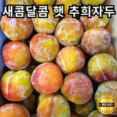 2024년 햇 자두 추희자두 (대과 ) 국내산 햇자두 맛난자두 후숙과일 새콤달콤 신선과일 가정용 선물세트 임산부과일 추희 자두 국산 여름과일 산지직송, 1박스, 1kg