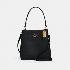 COACH 코치 1011 스몰 타운 버킷 백