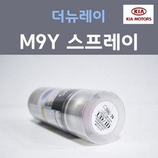 레이순정avn