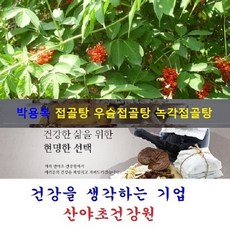 아침마당 녹각접골탕(35일분):70팩 접골목 딱충나무 말오줌나무 접골탕 우슬접골탕