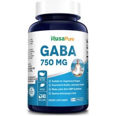 ga-b2100-1a1dr
