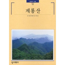 계룡산, 대원사, 정종수