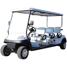 골프카충전레카