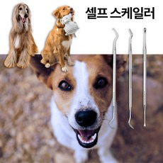 반려동물 구강관리 청결 스케일링 치석제거 셀프스케일러 3종 1세트
