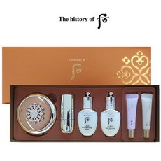 더후 천기단 화현 에센스 쿠션 기획, 1개, 21호
