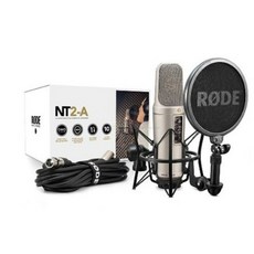 로데nt2a