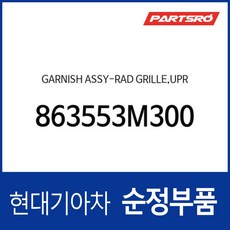 가니쉬-라디에이트 그릴 상부 (863553M300) 제네시스 BH, 1개