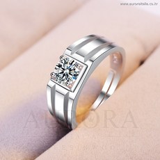 세븐틴아타카캐럿반