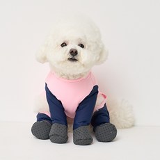 강아지명품패딩-추천-상품