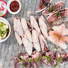 오발 (원양산) 총알한치500 (7~13미) 급냉 중대사이즈, 1개, 500g