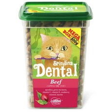 캣템 고양이 스피루리나 덴탈 이빨과자 대용량 메가박스, 비프, 500g, 1개