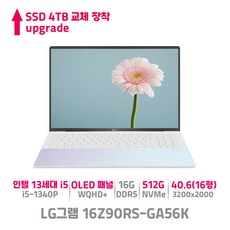 LG 그램 Style 16Z90RS-GA56K OLED WQHD+ 인텔13세대i5 윈도우11, WIN11 Home, 16GB, 4TB, 코어i5, 오로라 화이트