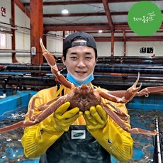 [최고다농수산] 수율보장 A급 박달대게 러시아대게 산지직송, ★특가) A급 대게활어 1kg내외 1미