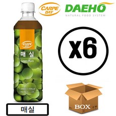 까르페 매실 차 1000ml X 6개 액상 과일 음료 아이스티 원액, 1L