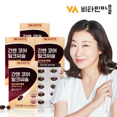 비타민마을 간엔 코어 밀크씨슬 X 4박스(4개월분), 30정, 4개