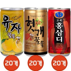 [오늘쇼핑]따뜻한 일화 온음료 175ml 3종 각 20캔씩(유자꿀물20+헛개꿀물20+홍삼디20) /캔음료/업소/서비스용, 60개