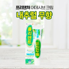 [반창고닷컴] 폴리덴트 내추럴(무향) 의치부착재 접착제 70g, 1개