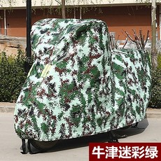 옥스포드거북차