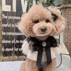 밍크엘레팡케이프